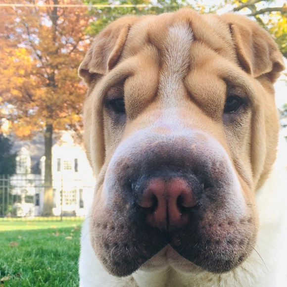 Meet your Posher, Janet - Picture 2 of 4